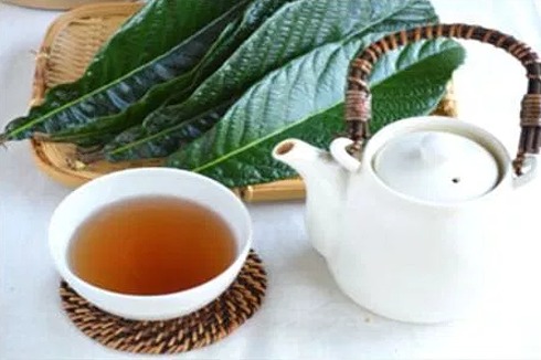 ビワの葉茶の効果と効能・副作用